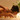 [Image: Swedish Massage at Citrus Massage Studio for just €25!]