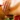 [Image: Choose Between an Hour Long Deep Tissue or Aromatherapy Massage for only €30]